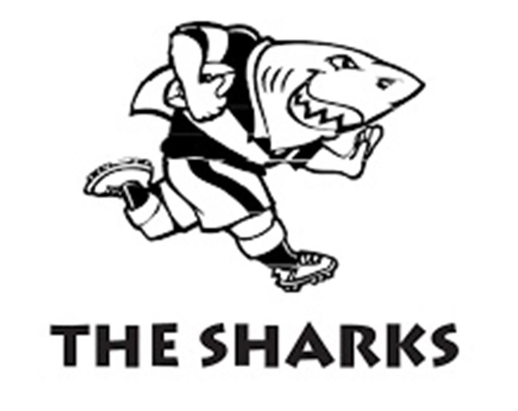 Sharks Rugby Logo Images - Carpet Vidalondon